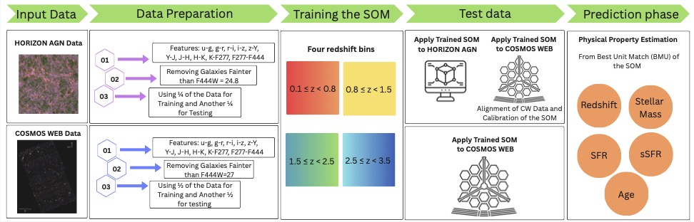 Self-Organizing Maps workflow for galaxy parameter estimation from COSMOS-Web data